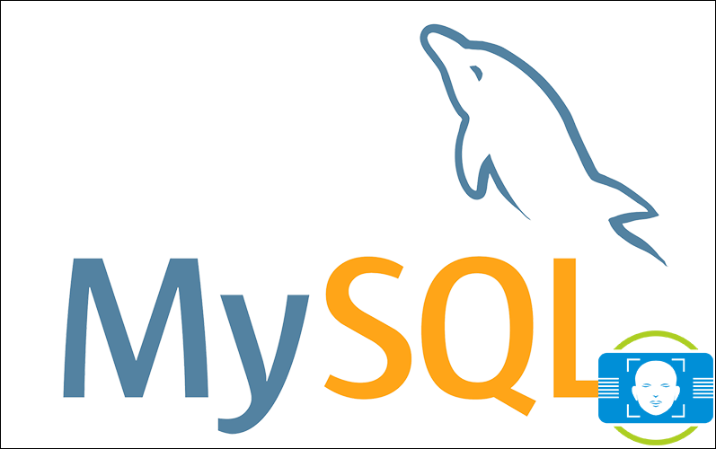 My SQL数据库
